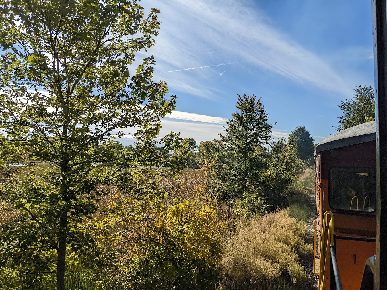 PXL_20221001_142900716