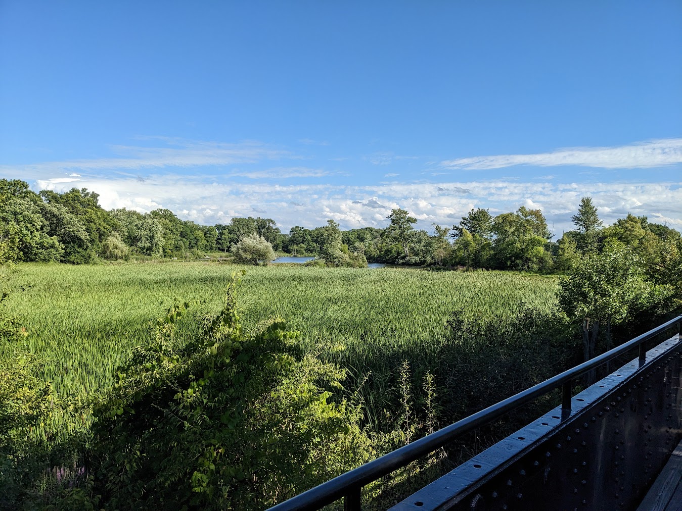 PXL_20230812_212013934