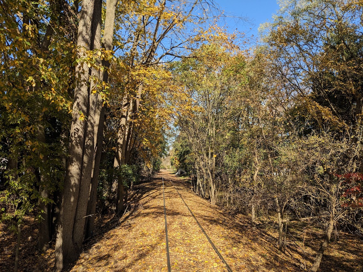 Beautiful autumn colors along the tracks.