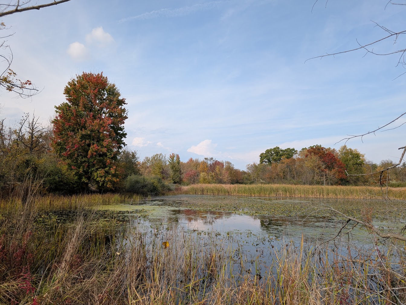 Amazing colors surrounding Red Millpond.